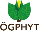 ÖGPHYT - ÖSTERREICHISCHE GESELLSCHAFT FÜR PHYTOTHERAPIE