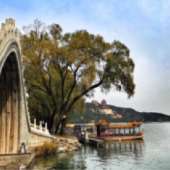Brücke