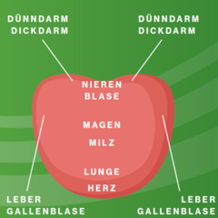 Zunge Grafik